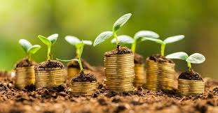 A person using a laptop in a modern office setting